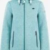 Schmuddelwedda Outdoor Jassen Fleece Jas Dames Groen 1 Schmuddelwedda Outdoor Jassen Fleece Jas Dames Groen -Schmuddelwedda Verkoopwinkel efb5af169298a25182b4f2b7991d2f13